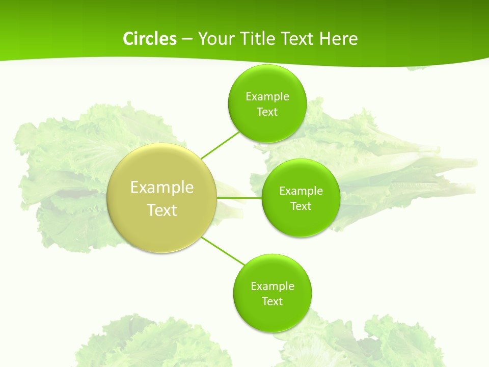Lettuce Vector PowerPoint Template