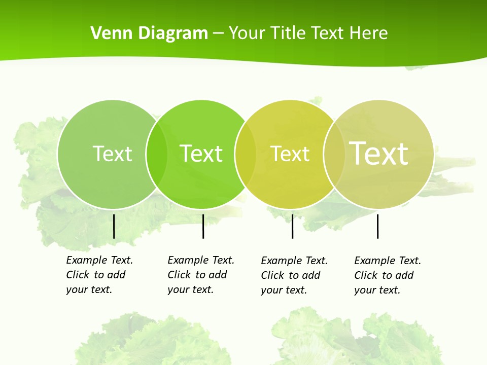 Lettuce Vector PowerPoint Template