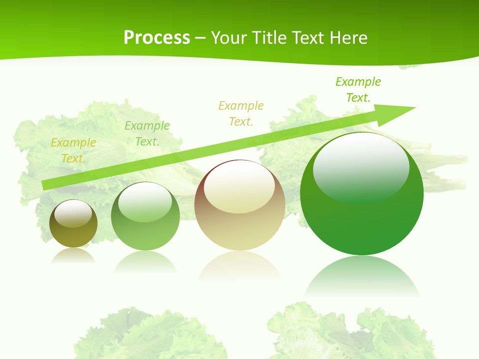 Lettuce Vector PowerPoint Template