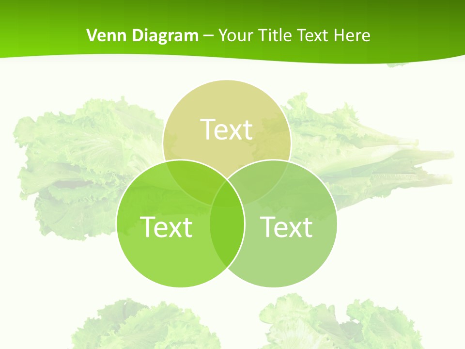 Lettuce Vector PowerPoint Template