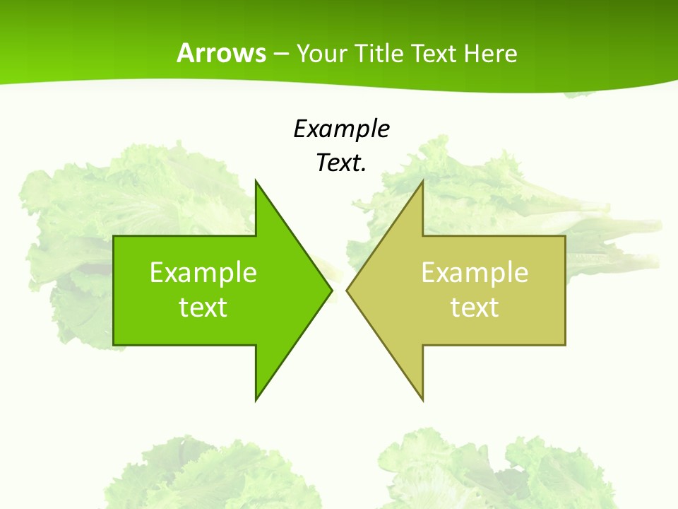 Lettuce Vector PowerPoint Template