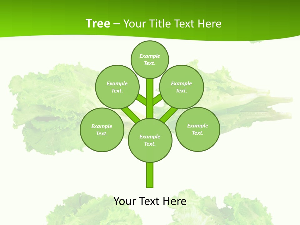 Lettuce Vector PowerPoint Template