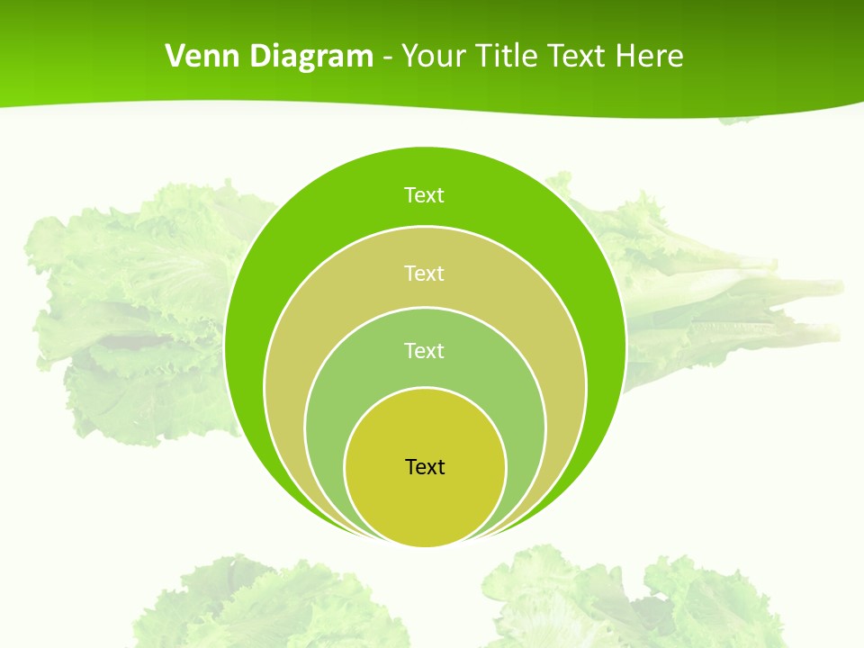 Lettuce Vector PowerPoint Template