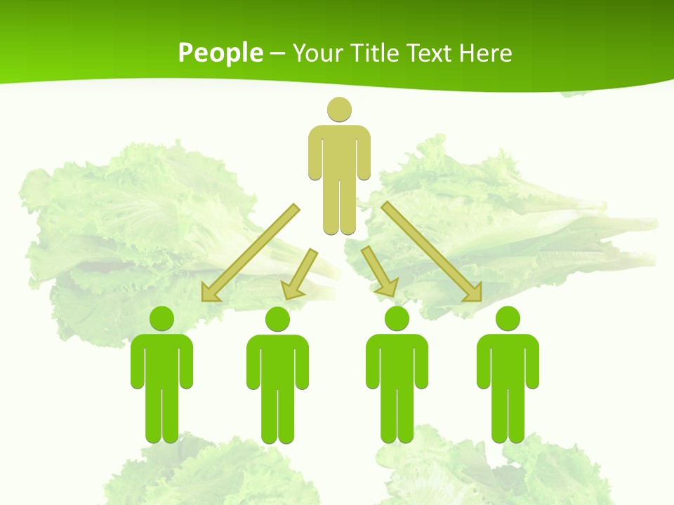 Lettuce Vector PowerPoint Template