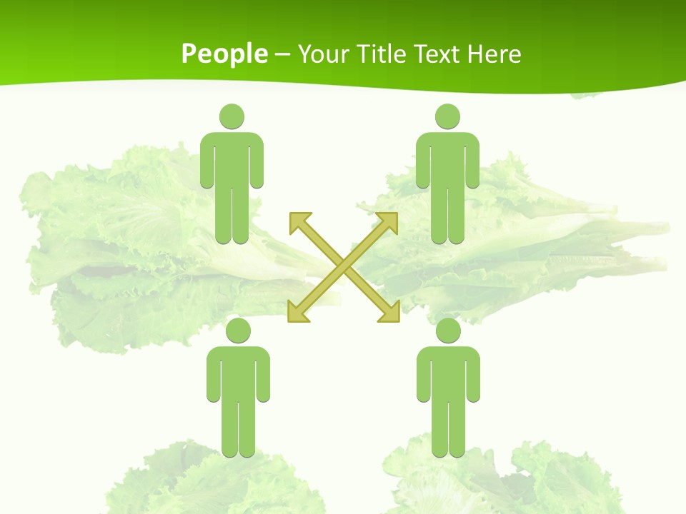Lettuce Vector PowerPoint Template