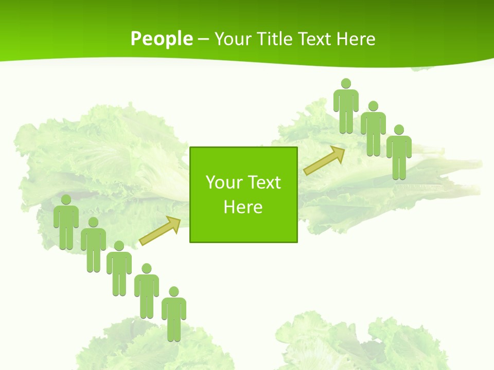 Lettuce Vector PowerPoint Template