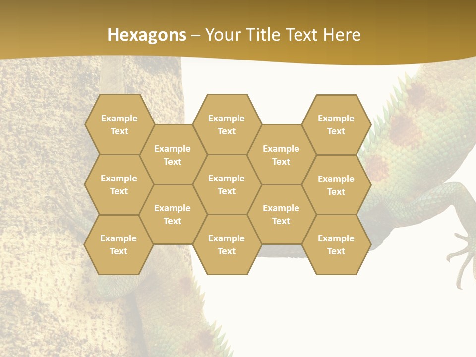 White Walking Branch PowerPoint Template