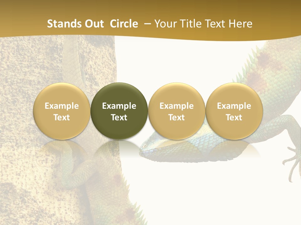 White Walking Branch PowerPoint Template