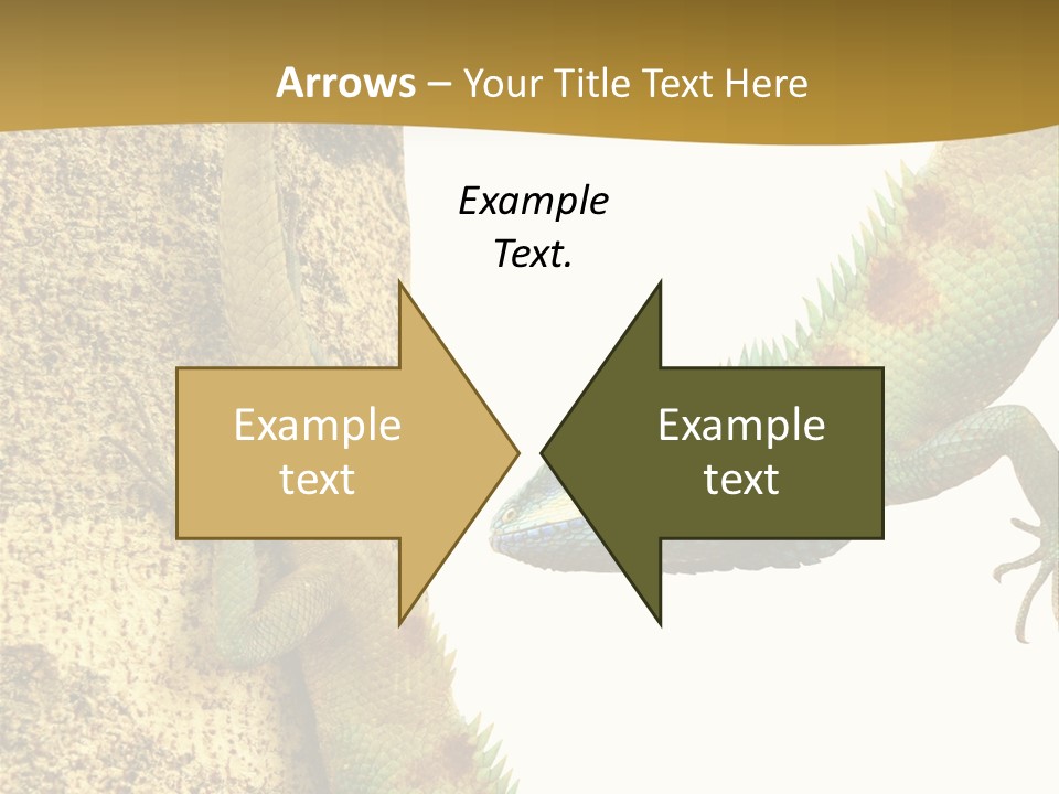 White Walking Branch PowerPoint Template