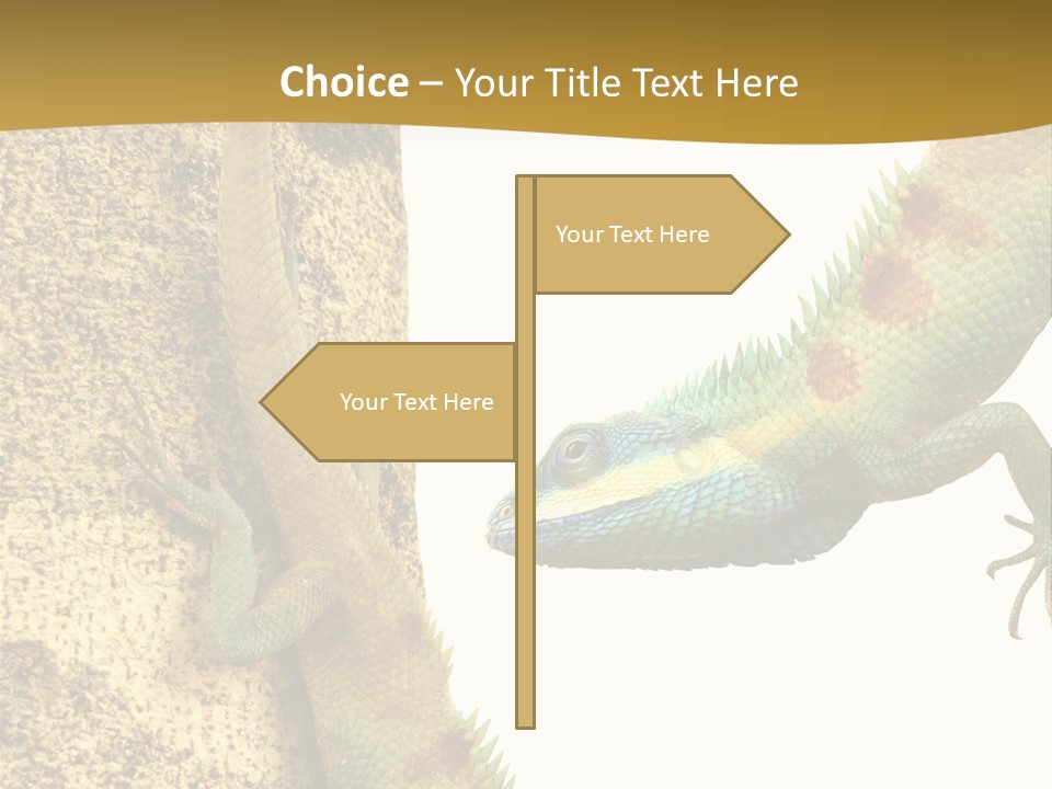 White Walking Branch PowerPoint Template