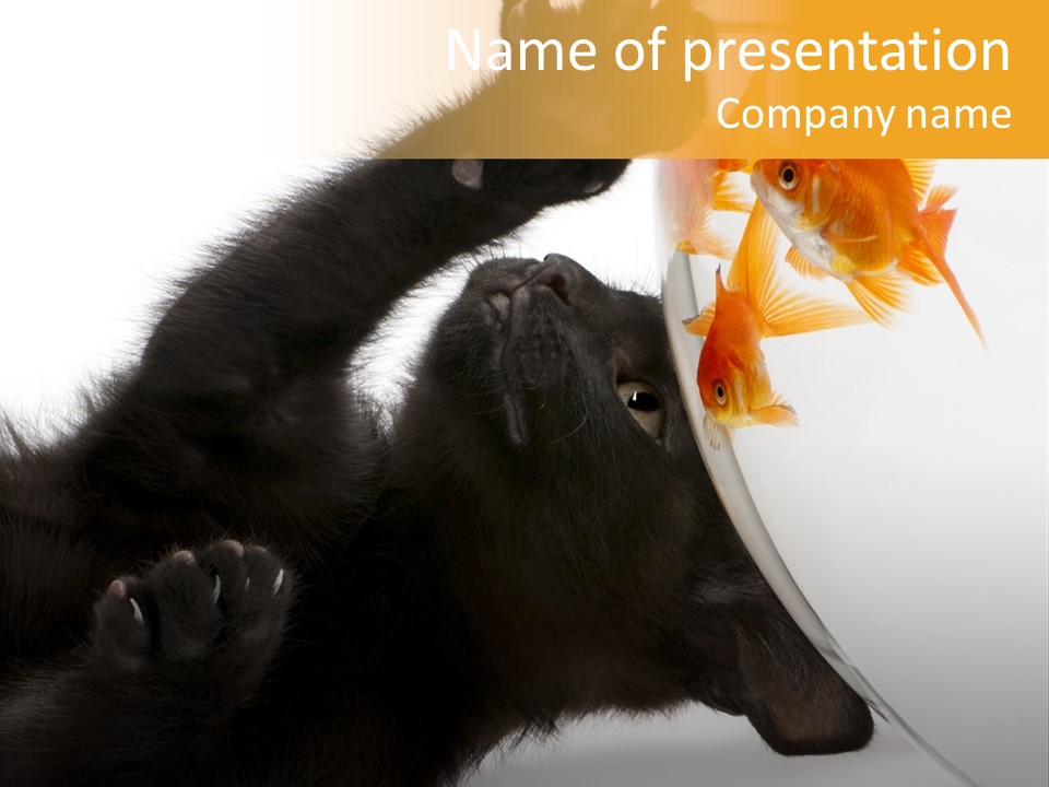 Kitten Fishbowl PowerPoint Template