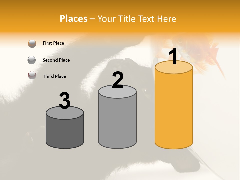 Kitten Fishbowl PowerPoint Template