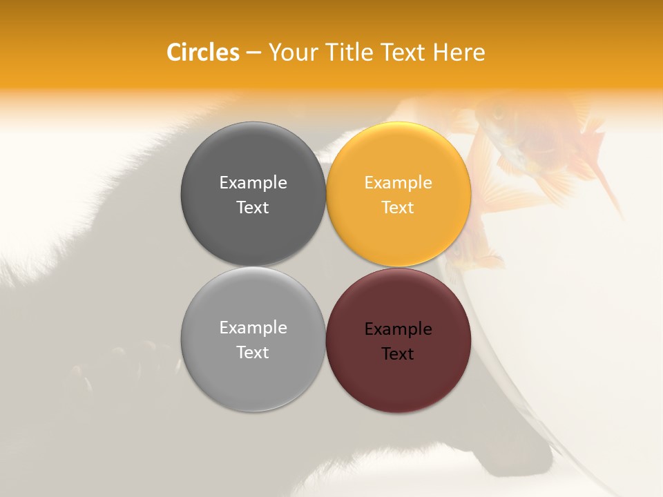 Kitten Fishbowl PowerPoint Template