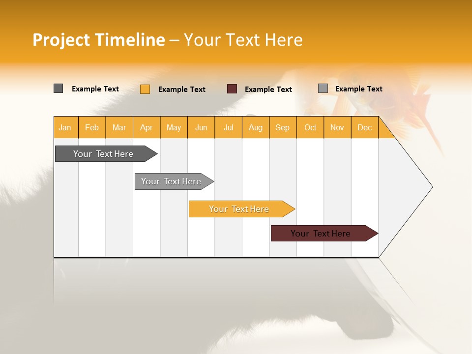 Kitten Fishbowl PowerPoint Template