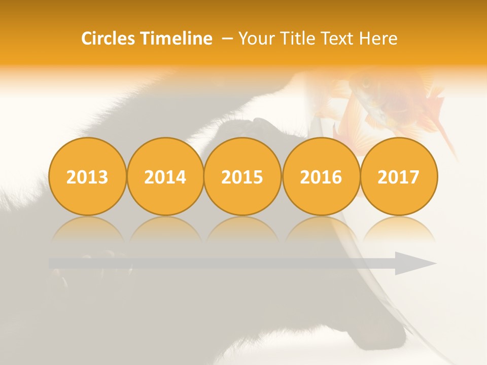 Kitten Fishbowl PowerPoint Template