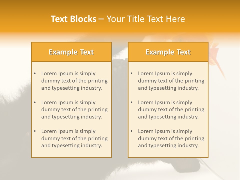 Kitten Fishbowl PowerPoint Template
