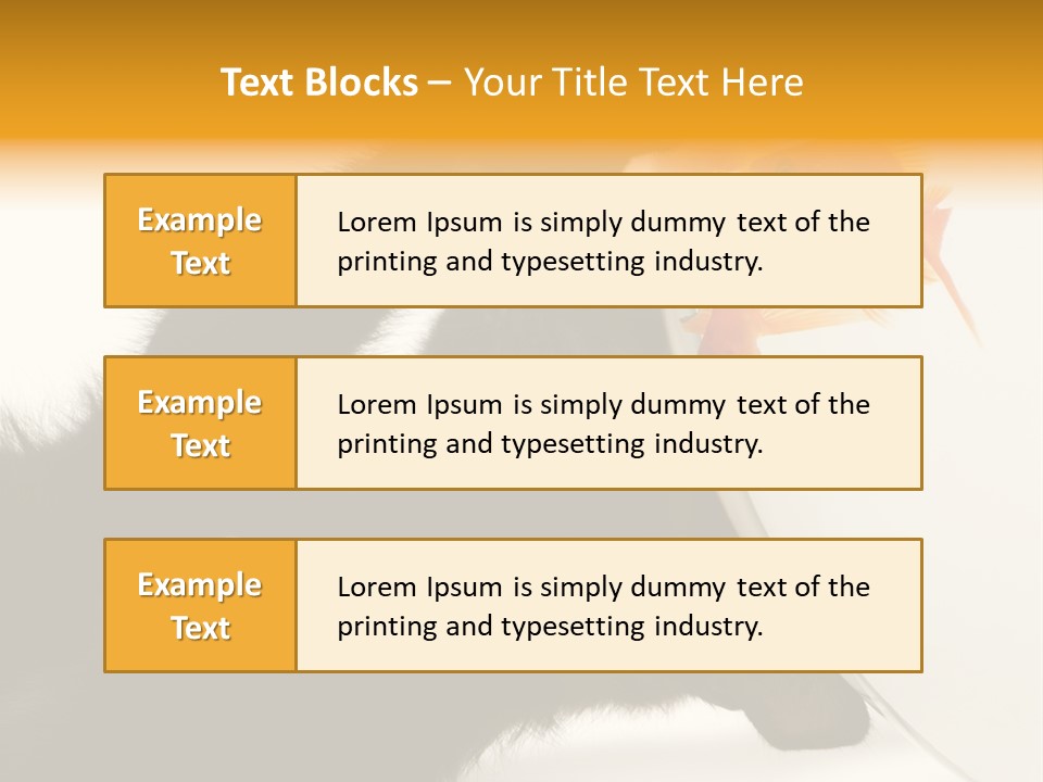 Kitten Fishbowl PowerPoint Template