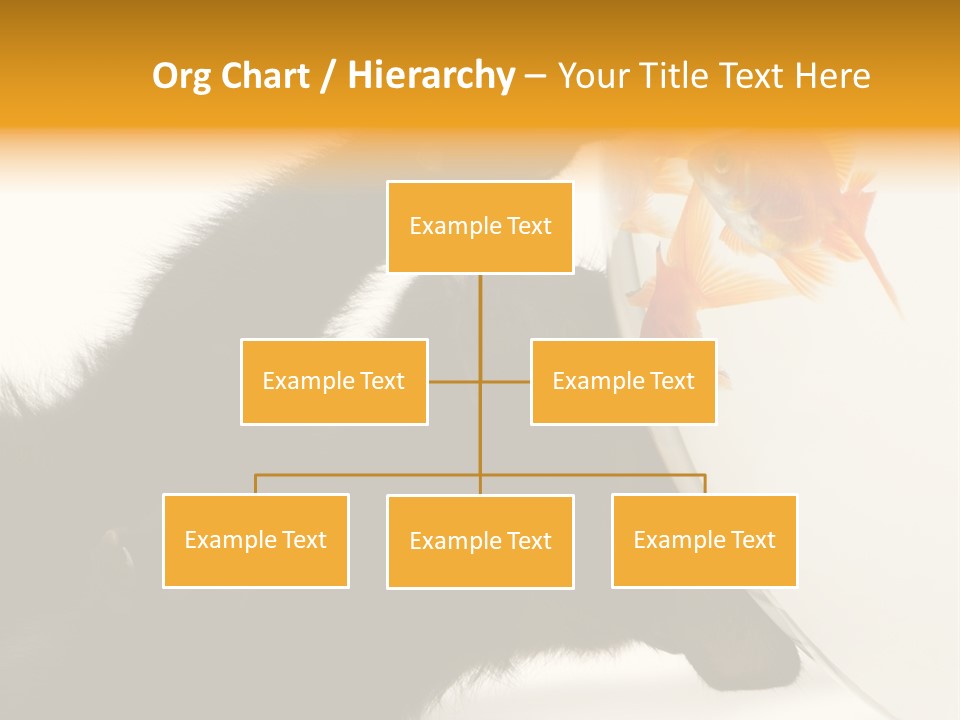 Kitten Fishbowl PowerPoint Template