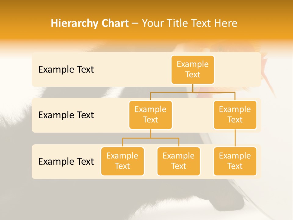 Kitten Fishbowl PowerPoint Template