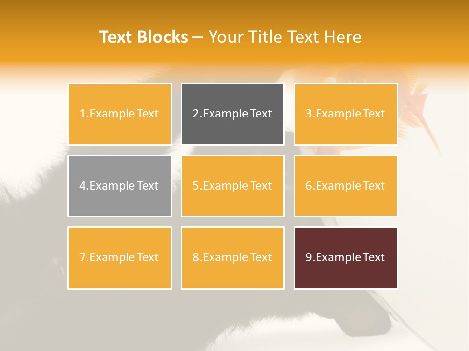 Kitten Fishbowl PowerPoint Template