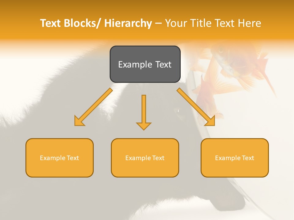 Kitten Fishbowl PowerPoint Template