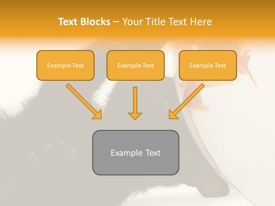 Kitten Fishbowl PowerPoint Template