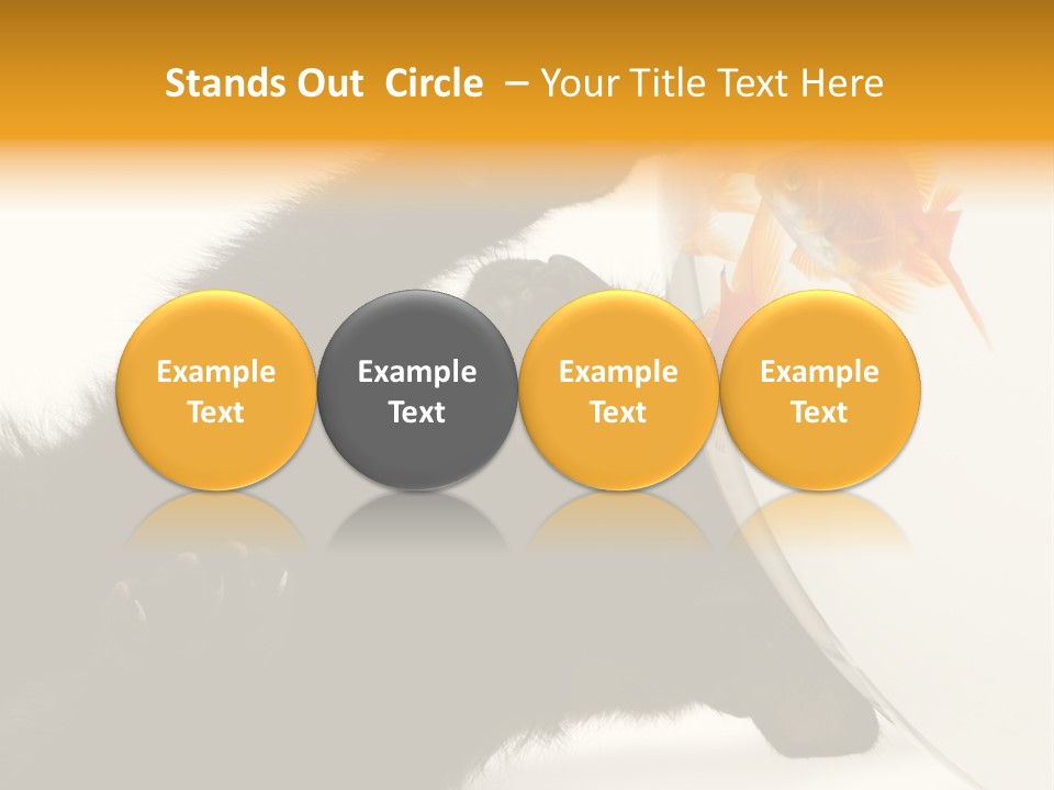 Kitten Fishbowl PowerPoint Template