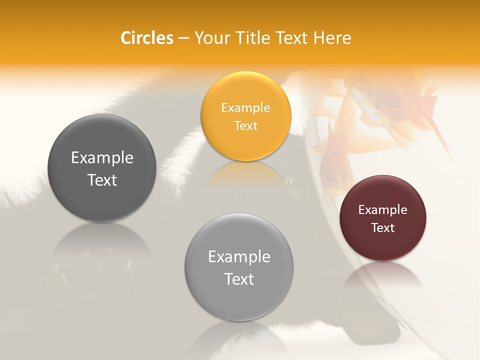 Kitten Fishbowl PowerPoint Template