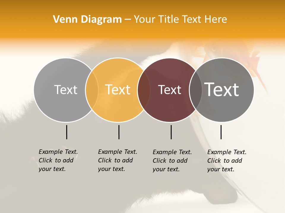 Kitten Fishbowl PowerPoint Template