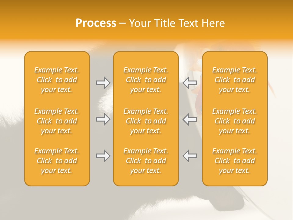 Kitten Fishbowl PowerPoint Template