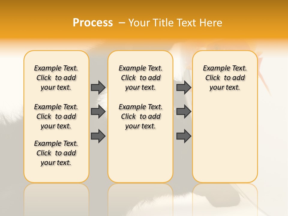 Kitten Fishbowl PowerPoint Template