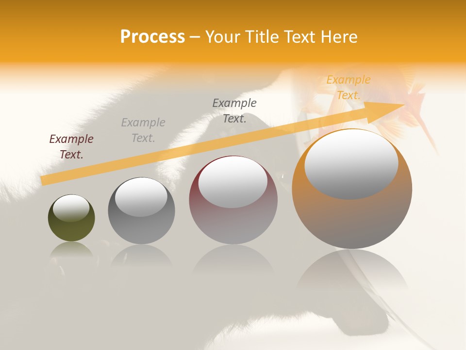 Kitten Fishbowl PowerPoint Template