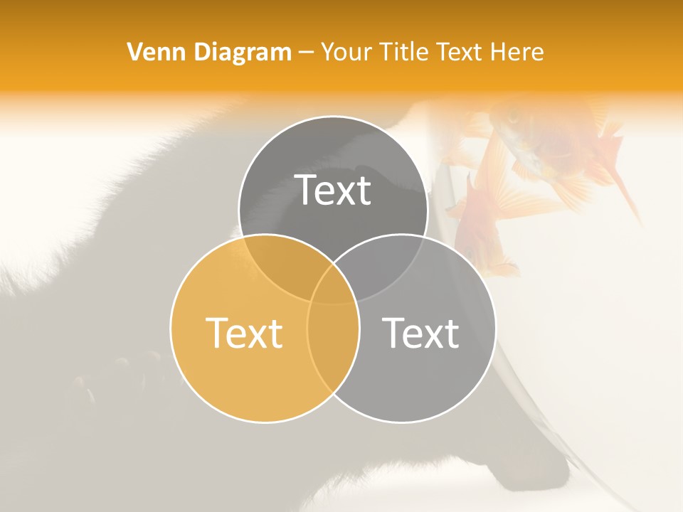 Kitten Fishbowl PowerPoint Template