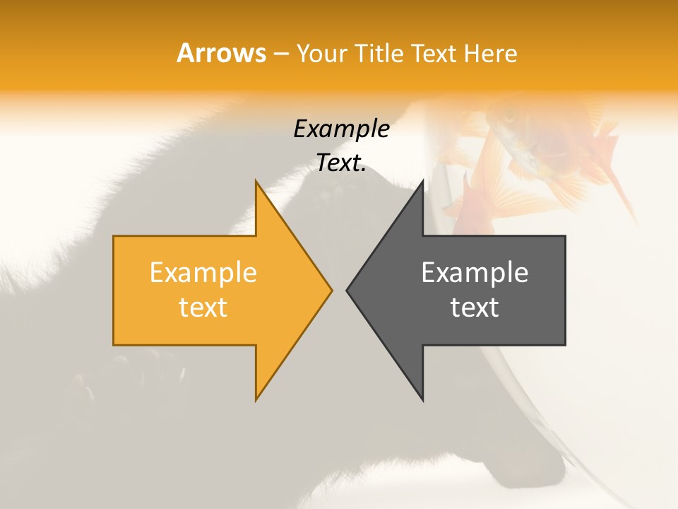 Kitten Fishbowl PowerPoint Template