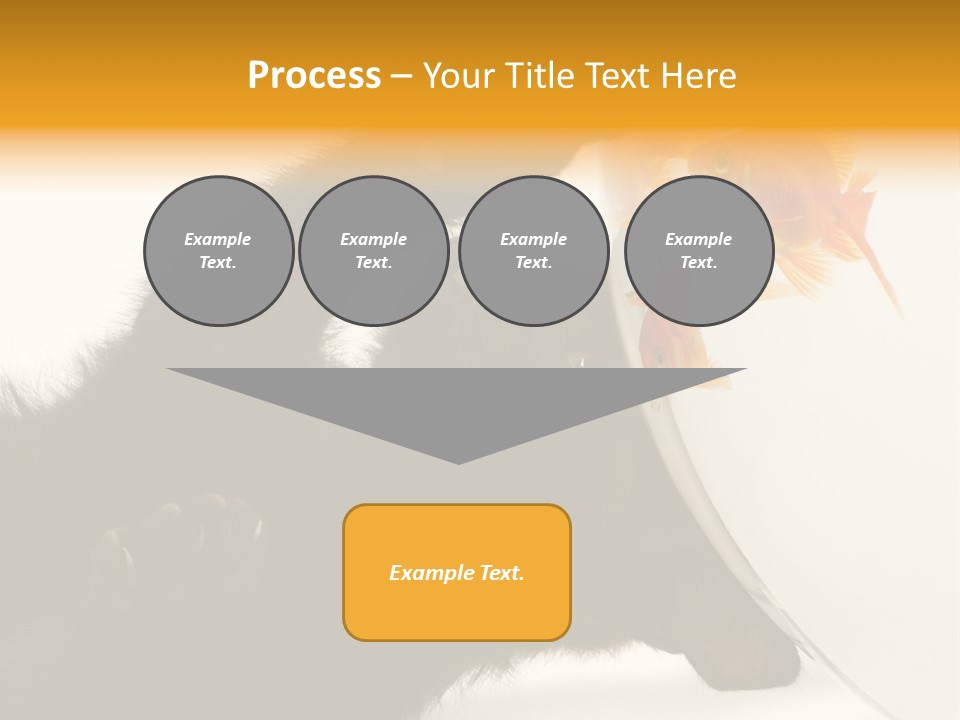 Kitten Fishbowl PowerPoint Template