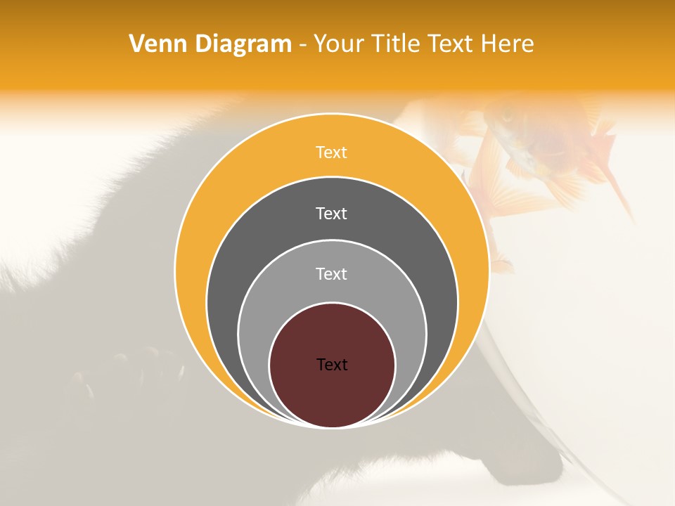 Kitten Fishbowl PowerPoint Template