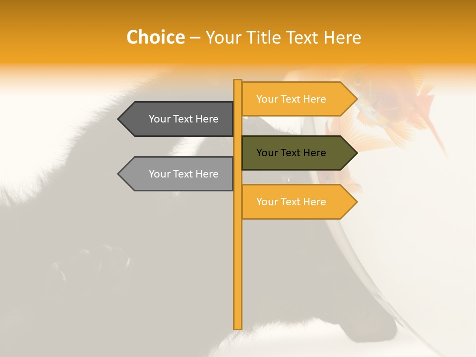 Kitten Fishbowl PowerPoint Template
