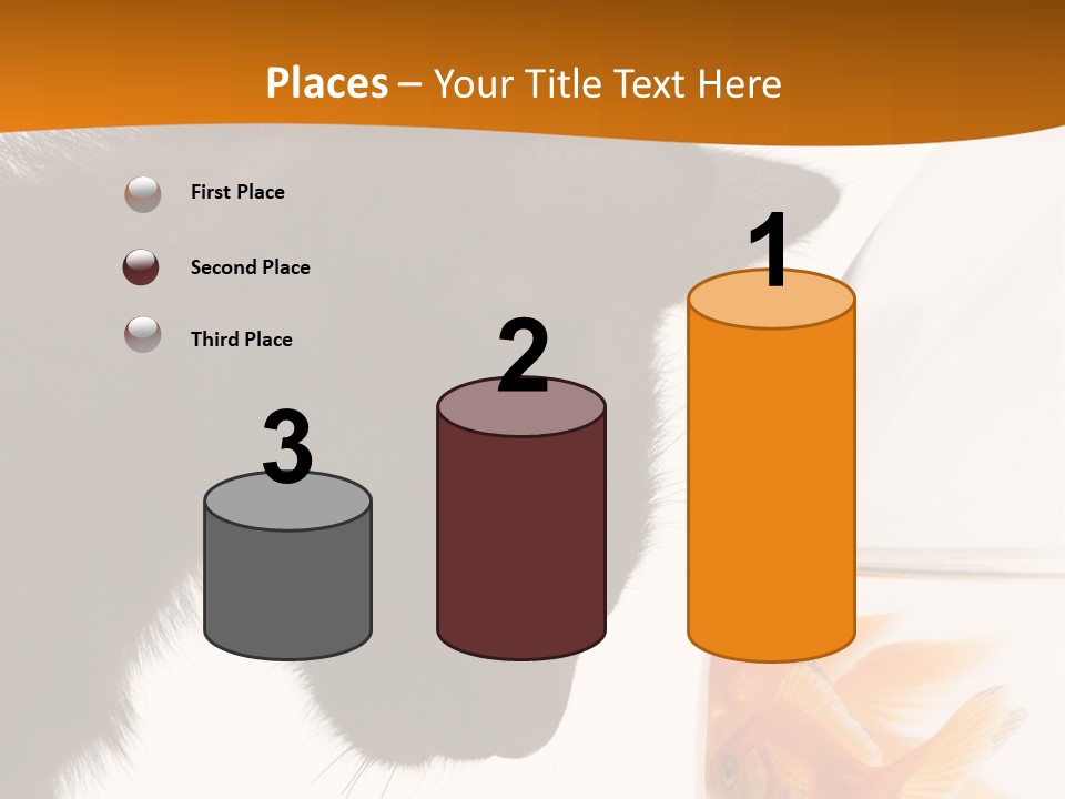 Fish Kitten PowerPoint Template