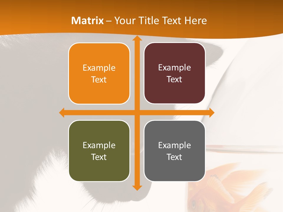 Fish Kitten PowerPoint Template