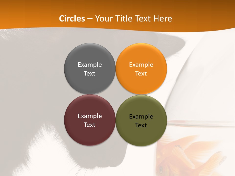 Fish Kitten PowerPoint Template