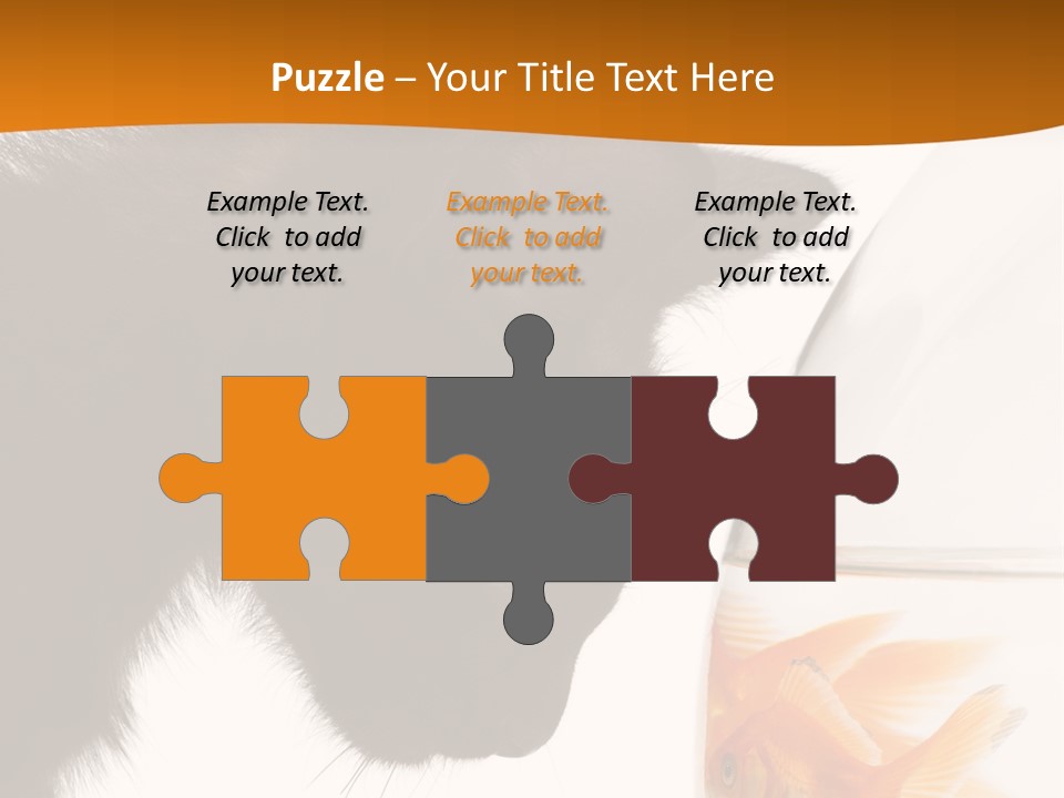 Fish Kitten PowerPoint Template