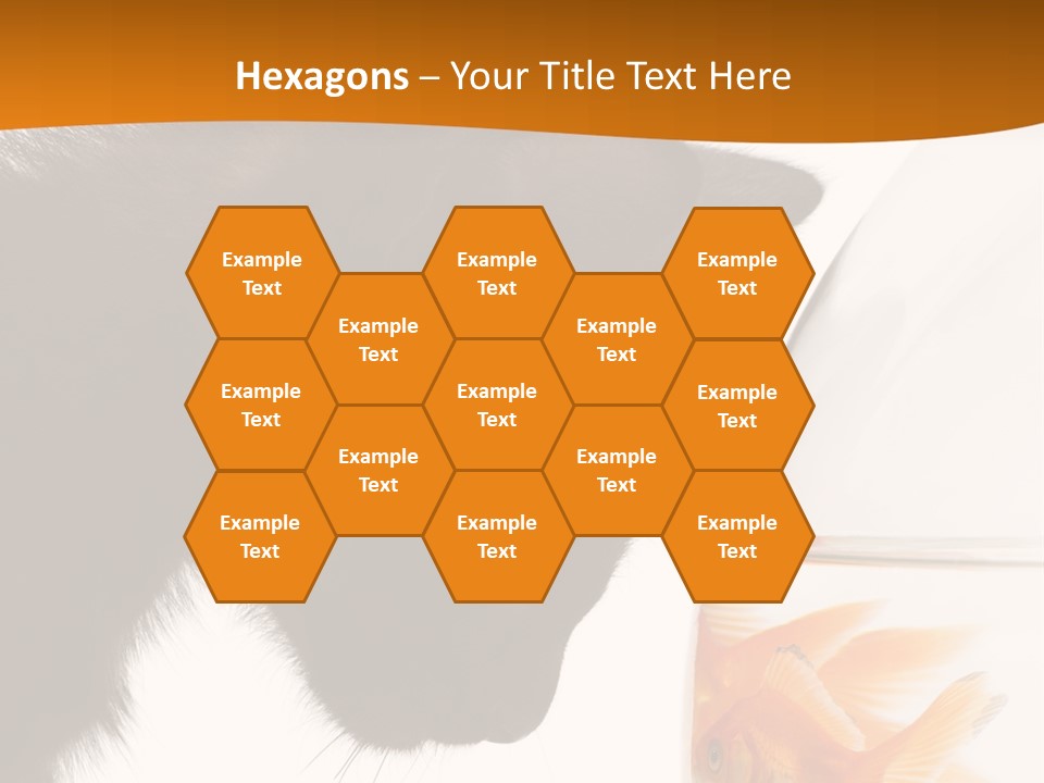 Fish Kitten PowerPoint Template