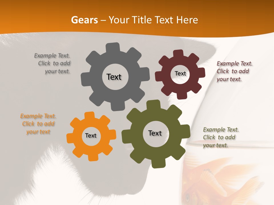 Fish Kitten PowerPoint Template