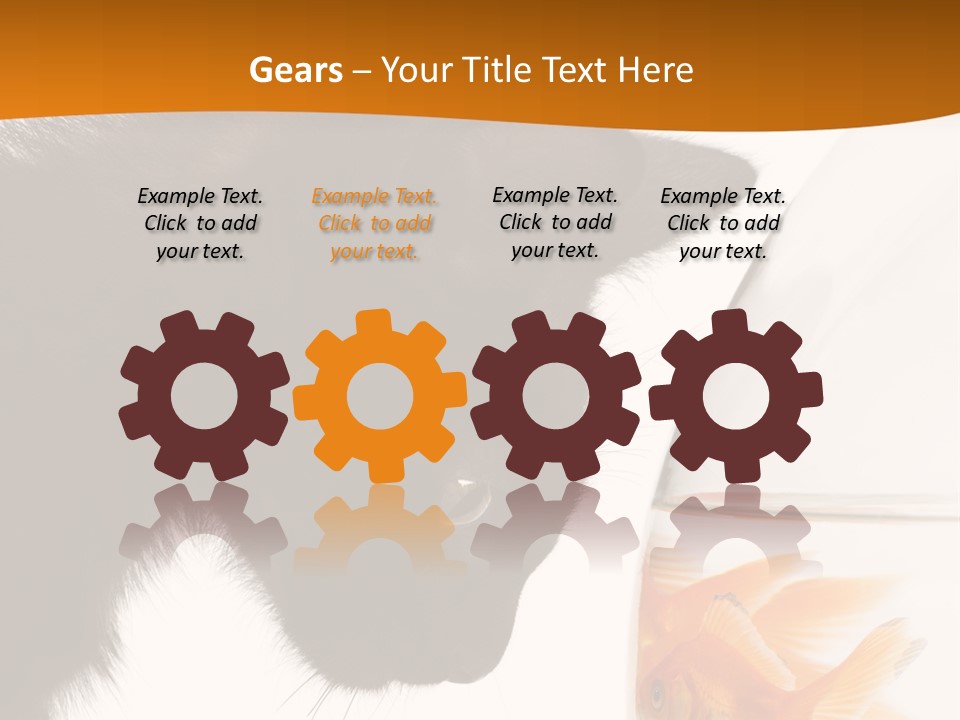 Fish Kitten PowerPoint Template