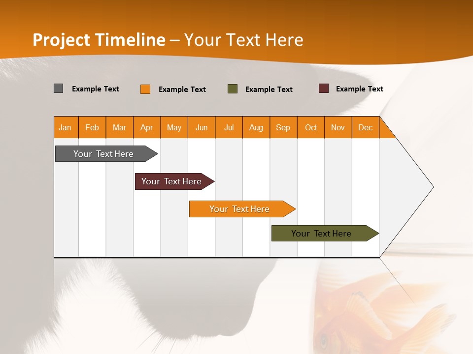 Fish Kitten PowerPoint Template