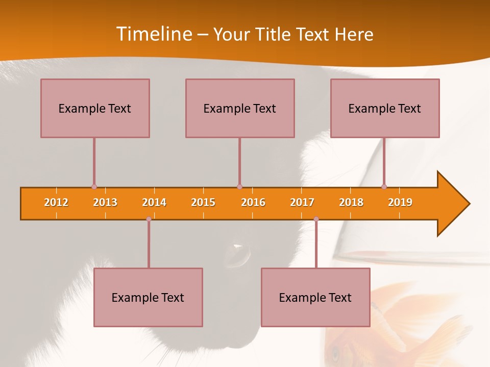 Fish Kitten PowerPoint Template