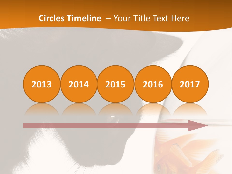 Fish Kitten PowerPoint Template