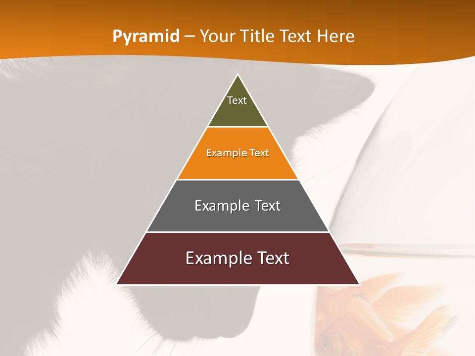 Fish Kitten PowerPoint Template