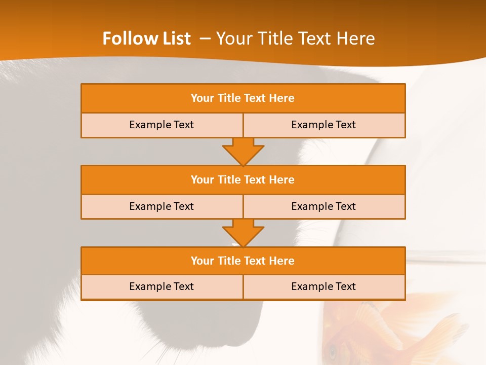 Fish Kitten PowerPoint Template