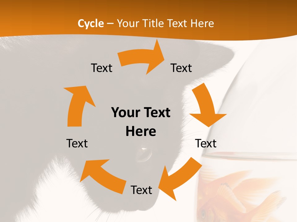 Fish Kitten PowerPoint Template